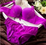 Excellent Embroidery Underwear Sexy Bra Set (CS31287)