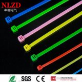 China Multi Size Selflocking Zip Ties