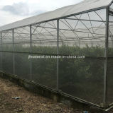 Greenhouse Anti Insect Netting/Agriculture Netting