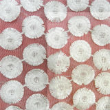 Cotton Voile Embroidery Lace (L5155)