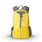 Unisex Candy Colors Waterproof Travel Backpack /Outdoor Sports /Camping Bag Zh-Bbk008