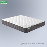 Compressed Pocket Spring with 3D Mesh Fabric Tight Top Mattress (MP220)