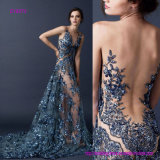 a Ravishing Avant-Garde Transparent Open Back Evening Dress