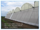 Agricultural Plant Use White 50 Mesh Anti Insect Shade Net