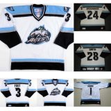 Customized Echl Alaska Aces Tj Fast Patrick Brosnihan Hockey Jerseys