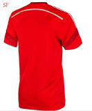 Colombia Red Soccer Jersey Football Jersey