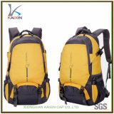 Colorful New Design Custom Sport Hiking School Backpack Bags