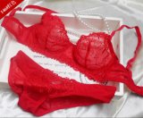 Sexy Transparent Bra Set with Beautiful Embroidery (EPB293)