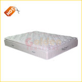 2014 Newest Design Hot Sale Fireproof Mattress