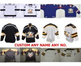 Customize Echl Colorado Eagles Devin Didiomete Stegeman Rick Hockey Jerseys