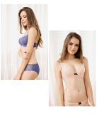 Charming Delicate Women Underwear Sexy Bra Set (CSN430)