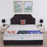 Concise Design DIY Layers Cheap & Sleepwell Mattress for Different Market