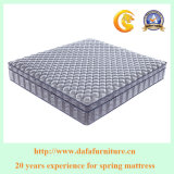Pocket Spring Rolled up Memory Foam Euro Top Mattress with Hotel Furniture