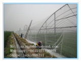 HDPE Agriclture Anti Aphid Net Anti Insect Net Insect Net Window Screen Factory