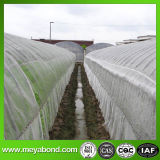 Insect Net/Anti Bee Net/Anti Insect Net