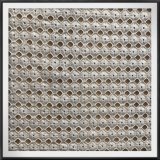 Cotton Fabric Cotton Eyelet Lace for Clothing