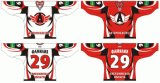 Customized Kontinental Hockey League Avtomobilist Yekaterinburg Hockey Jersey