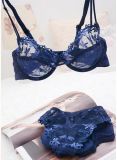 Hot Sexy Comfortable Bra and Panty for Women (FPY325)