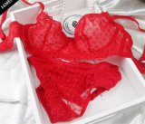 Sexy Transparent Bra Set with Beautiful Embroidery (EPB292)