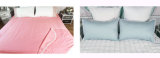 Twill Cotton 100% Cotton Color Bed Sheets Pillowcase