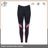 Wholesale Women Sexy Ladies Tights Yoga Pants