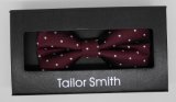 New Design Fashion Men's Woven Bow Tie (DSCN0021)