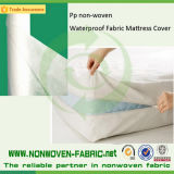 PP Spunbond Nion-Woven Fabric Supplier in China