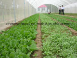 100% Virgin HDPE Anti-Insect Shade Net for Agriculture Greenhouse