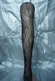 Sexy Lingerie Mesh Pantyhose with Floral Pattern 1977