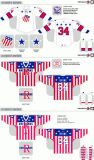 Customized American Hockey League Rochester Americans Hockey Jersey