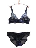 High Class Embroidery Lace Sexy Transparent Bra (CSB015)