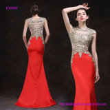 China Factory Direct Elegant Sleeveless Embroider Mermaid Evening Dress
