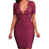 Rosy Deep V Neck Mesh Lace Sexy Bodycon Bandage Dress