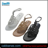 Fashion Popular Cheap Thong Sandals for Womens