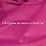 High Quality Jacquard Textile Fabric for Jacket/Sportswear