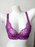 High Class Lace and Satin Underwear Bra (CSB02)