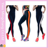 Hot Sale Sports Striped Side Stitching Color Yoga Cotton Pants