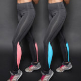 Yoga Running Elastic Sports Fitness Leggings