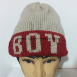 Knitted Hats / Beanie Hat / Winter Hat