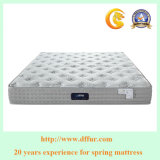 Natural Latex Rolled Pocket Spring Coil Mattress for Bed