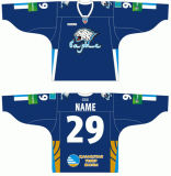 Customized Kontinental Hockey League Barys Astana Hockey Jersey