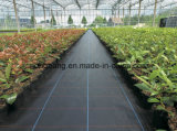 Agricultural Woven PP Weed Control Fabric