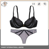 Wholesale Ladies Lace Lingerie Sexy Bra Panty Set