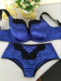 2016 Hot Sales Big Size Bra and Panty for Ladies