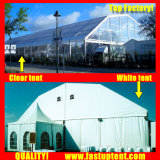 Popular Polygon Roof Marquee Tent in Au Australia Melbourne Sydney