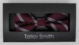 New Design Fashion Men's Woven Bow Tie (DSCN0100)