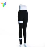 Summer Running Custom Sports Young Sexy Yoga Pants