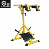 Plate Loaded Hammer Strength Stand Calf Raise Machine Osh079 Sprots Equipment