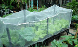 Insect Proof Net, Mesh Net, UV Net Anti-Insect Net Anti-Bird Net Agricultural Insect Net HDPE Net Anti-Insect Net