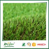 PE Material and Grass Style Artificial Turf /Plastic Carpet for Decor with Competitive Factory Price